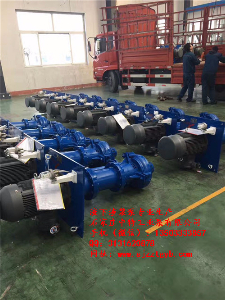 250TV-SP型液下渣浆泵 耐腐蚀渣浆泵 250TV-SP型液下渣浆泵 耐腐蚀渣浆泵