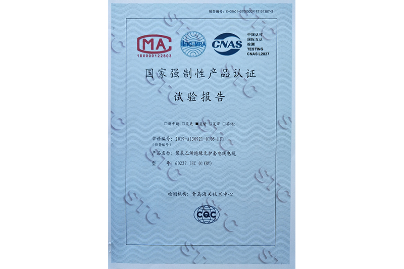 ����ǿ���Բ�Ʒ��֤���鱨��