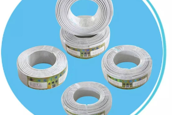 ��������RVV