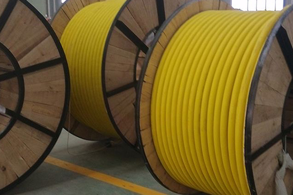 �������׵���MY